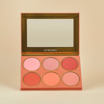 PALETA DE RUBORES ATEMPORAL | MAKEUP EXPERT