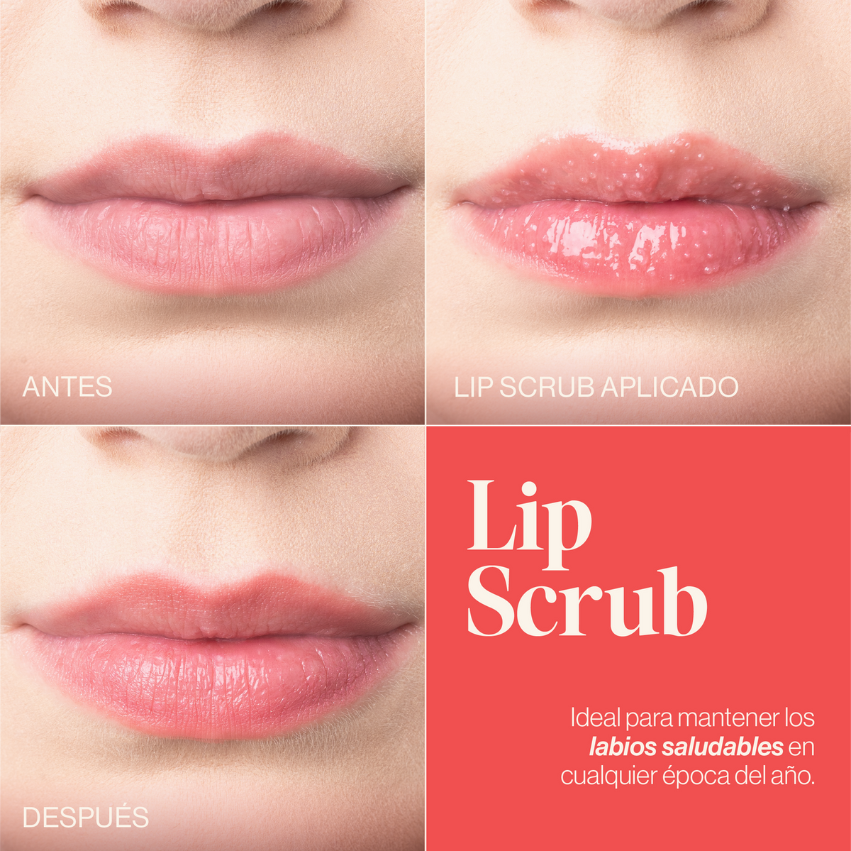 EXFOLIANTE PARA LABIOS | LIP SCRUB